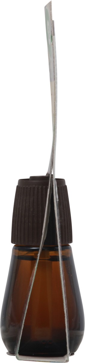 slide 2 of 13, Air Wick Essential Mist Brown Sugar & Vanilla Fragrance Mist 0.67 fl oz, 0.67 fl oz