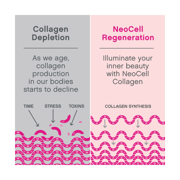 slide 24 of 29, NeoCell Vegan Beauty Builder Collagen Alternative; Hibiscus Flavored Powder, 8.5 oz, 30 servings