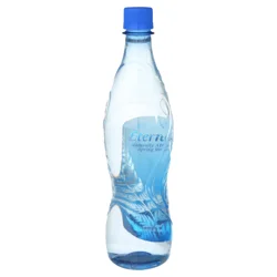 Eternal Water 600ML (20.3 Oz) Single Bottle