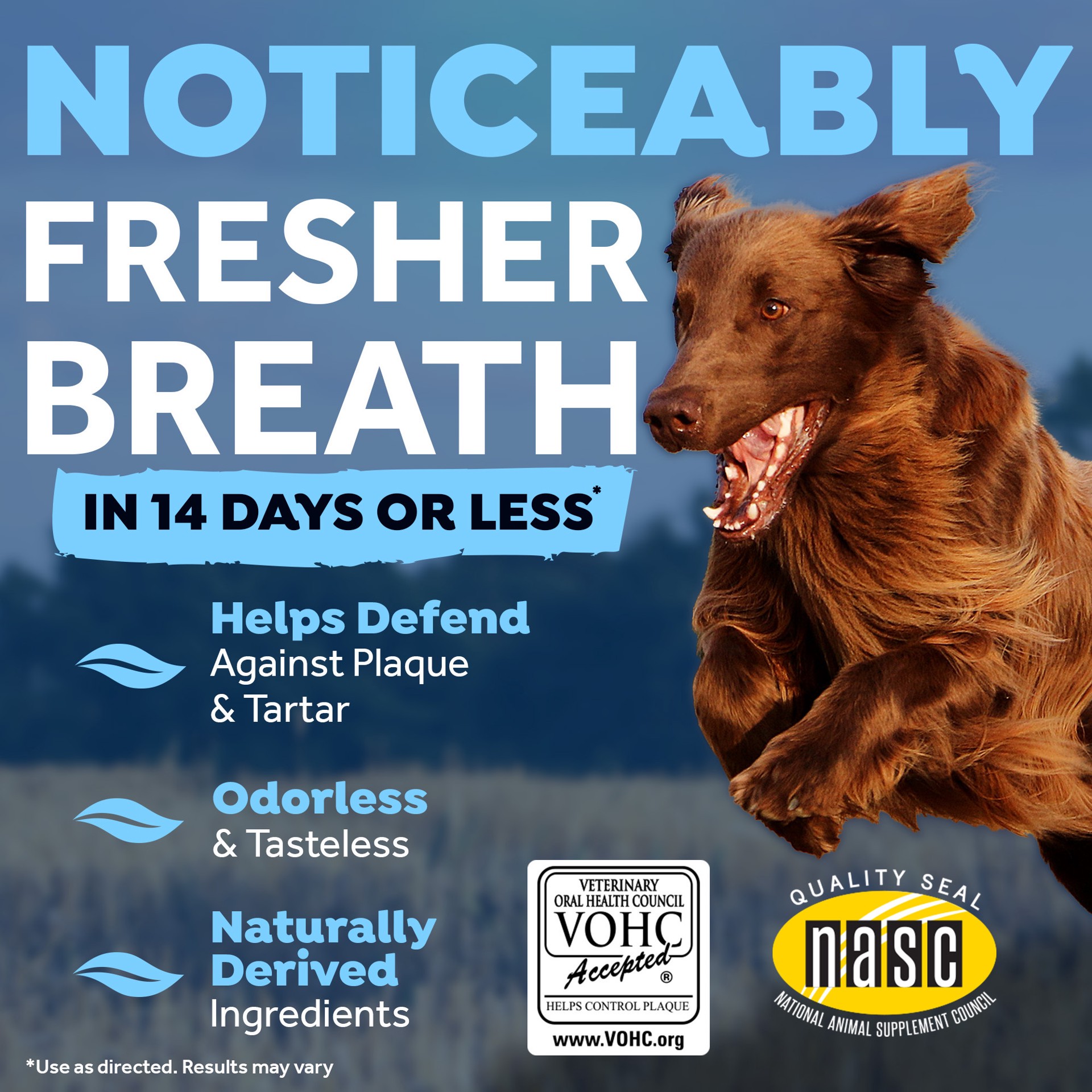 slide 3 of 10, TropiClean Fresh Breath Dental Health Solution Plus Digestive Support for Dogs, 16oz, 1 ct