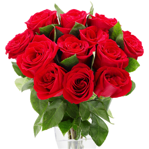 slide 1 of 1, Red Rose Bouquet Dozen, 1 ct