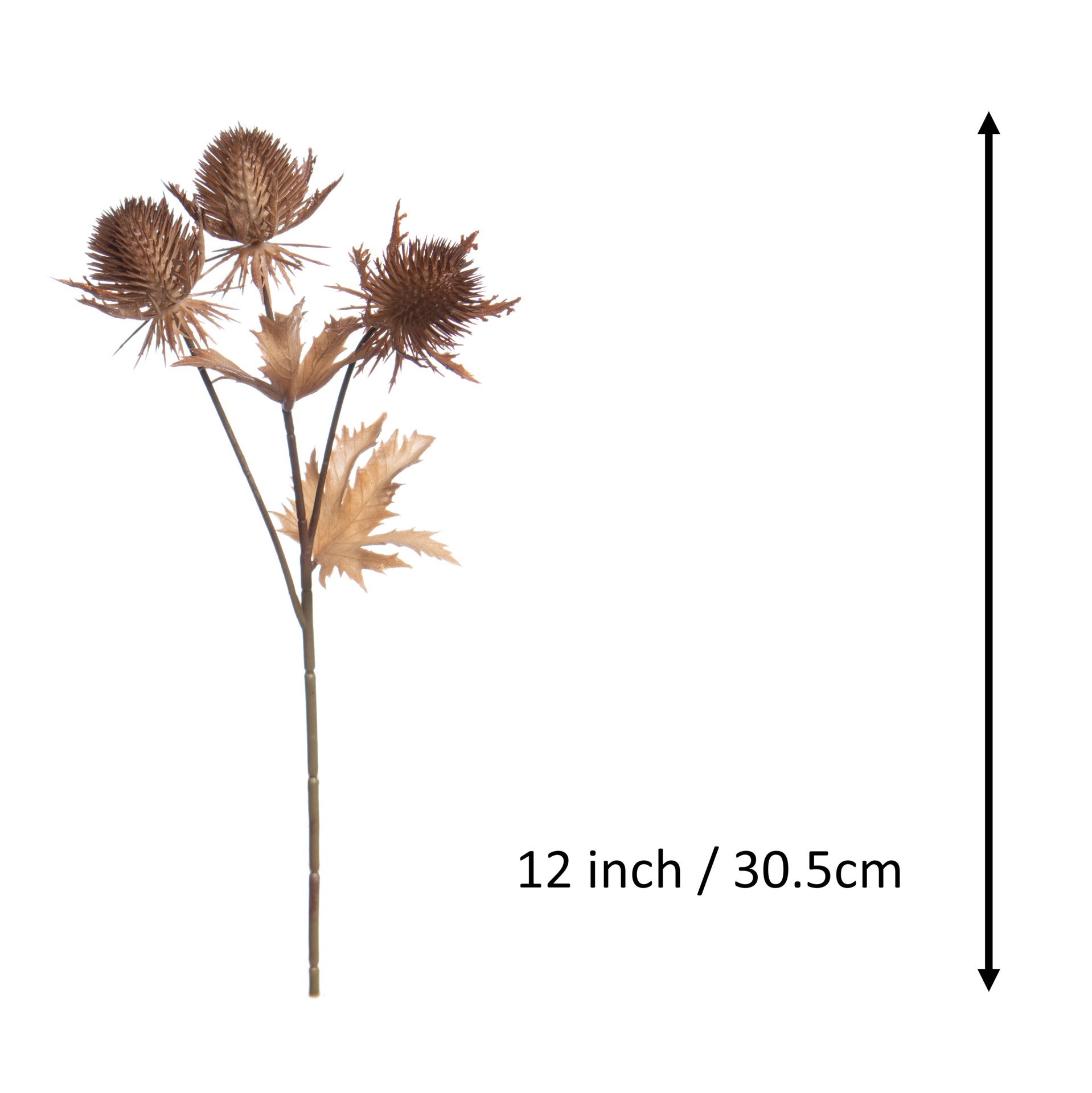 slide 3 of 3, 12" Brown Thistle Pick By Ashland, 12 in