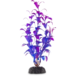 Imagitarium Purple & Blue Foreground Aquarium Plant