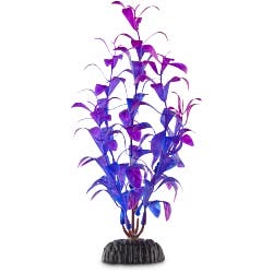 Imagitarium Purple & Blue Foreground Aquarium Plant
