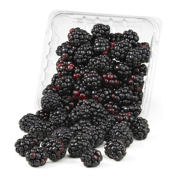 slide 1 of 1, Blackberries Prepacked Fresh, 6 oz