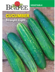 Burpee Heir Cucumber Slicing Straight Eight