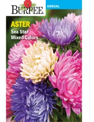 Burpee Aster Sea Star Mixed Colors