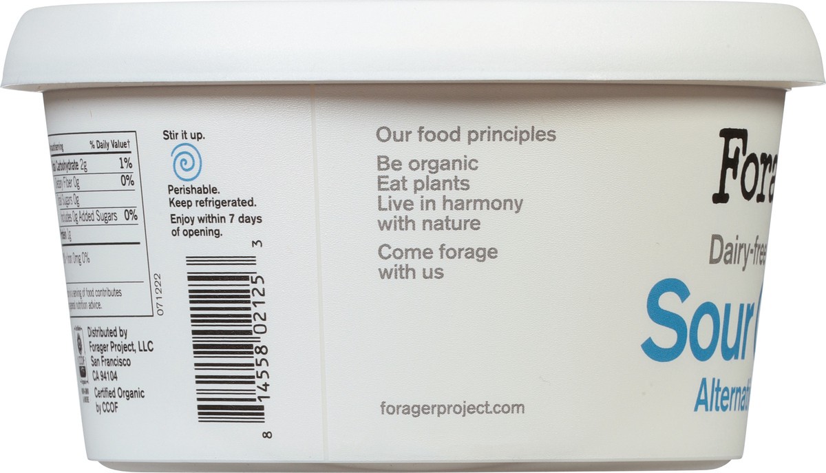 slide 3 of 9, Forager Project Dairy-Free Sour Cream Alternative 12 oz, 12 oz