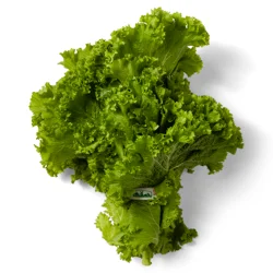 Mustard Greens, Bunch