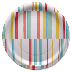 American Greetings 10-Count 9 inch Paper Plates, Multi-Colored Lines
