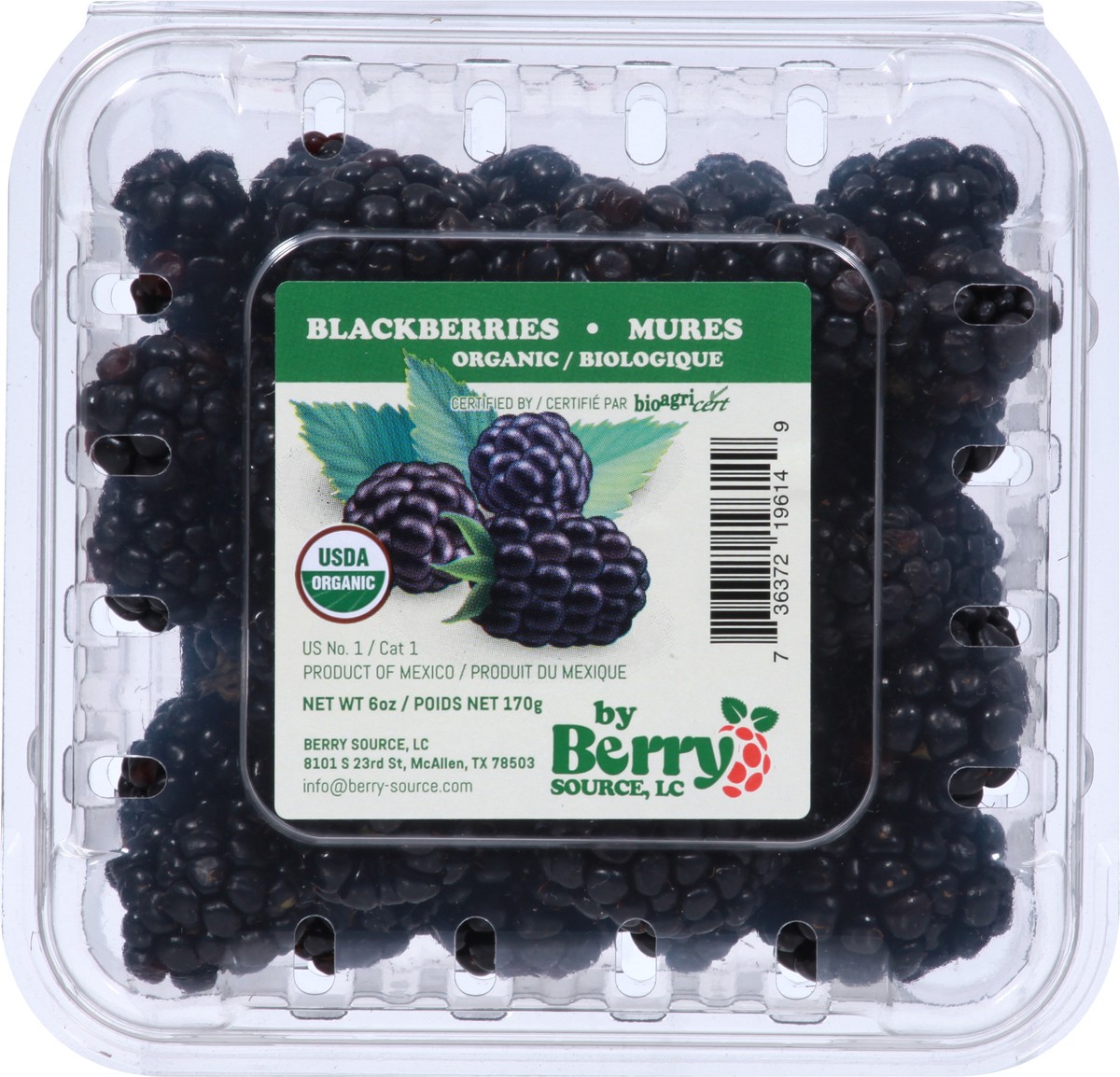 slide 3 of 10, Berry Source Organic Blackberries 6 oz, 6 oz
