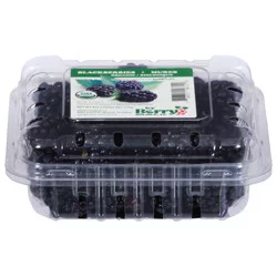 Berry Source Organic Blackberries 6 oz