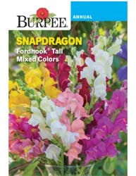 Burpee Snapdragon Fordhook Tall Mixed Colours
