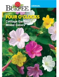 Burpee Four O'Clocks Cottage Garden Mixed Colors