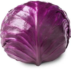 Cabbage Red
