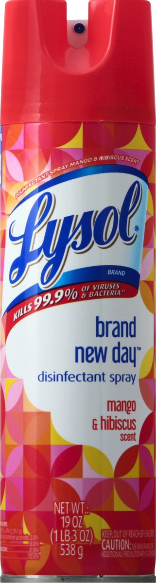 slide 9 of 9, Lysol Disinfectant Spray, Sanitizing and Antibacterial Spray, For Disinfecting and Deodorizing, Brand New Day - Mango & Hibiscus, 19 Fl Oz., 19 oz