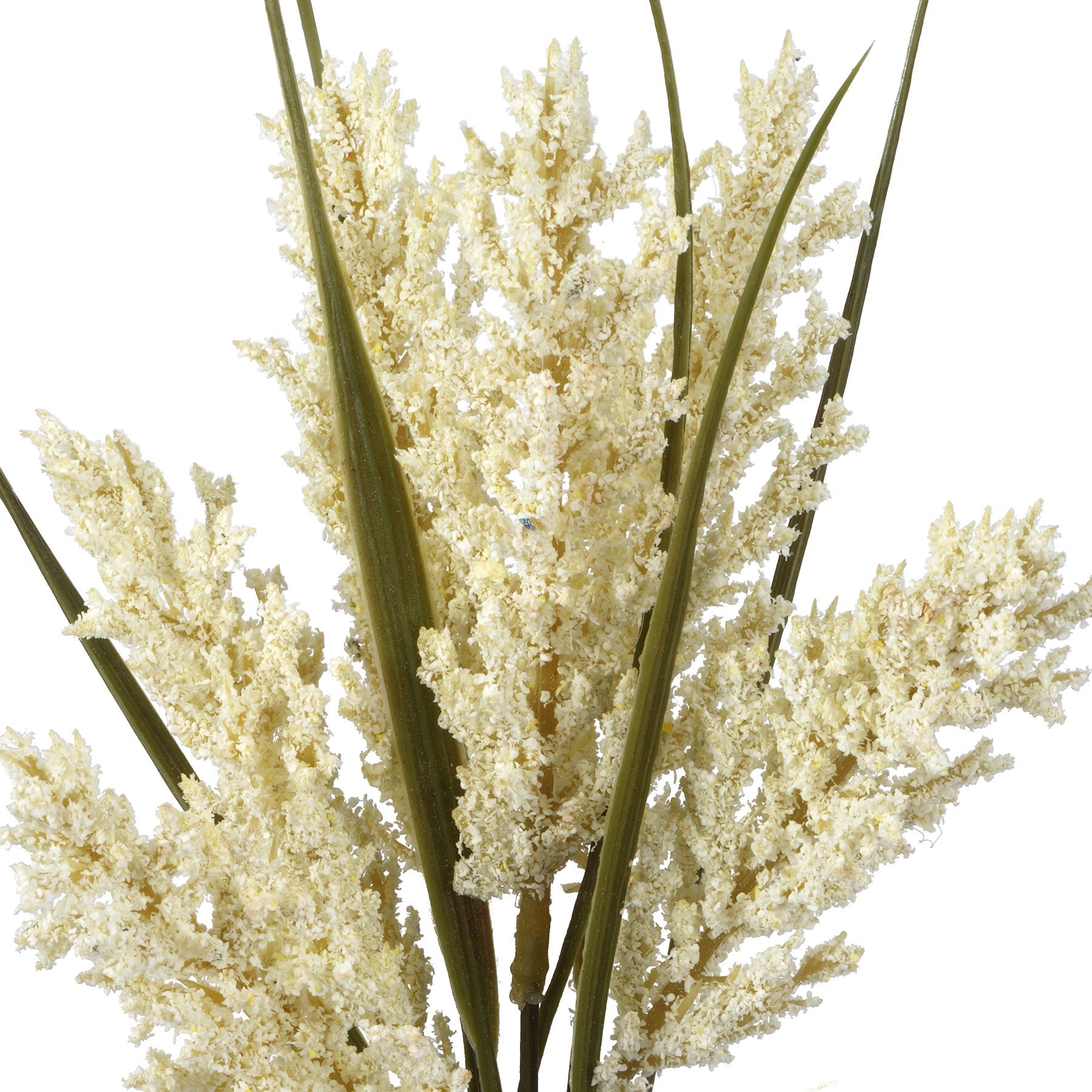 slide 2 of 2, 12" Mini Foxtail Bundle By Ashland, 12 in