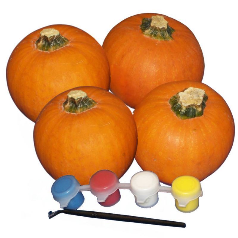 slide 2 of 2, Pumpkin Patch Pals Pumpkin Paint Activity Kit - 4ct, 4 ct