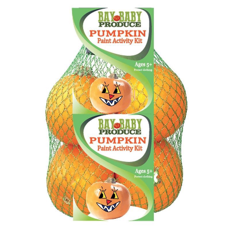 slide 1 of 2, Pumpkin Patch Pals Pumpkin Paint Activity Kit - 4ct, 4 ct