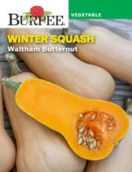 Burpee Heirloom Waltham Winter Squash