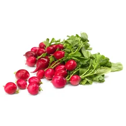 Organic Radishes, bunch