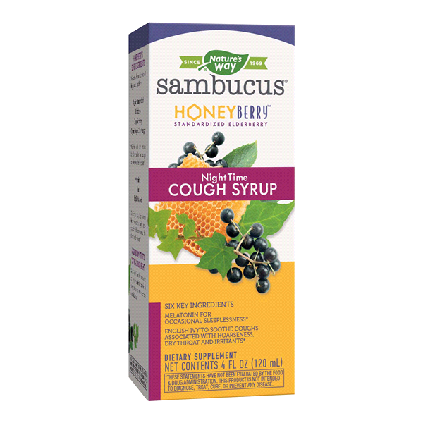 slide 1 of 1, Nature's Way Sambucus Honey Berry Night Time Cough Syrup, 1 ct