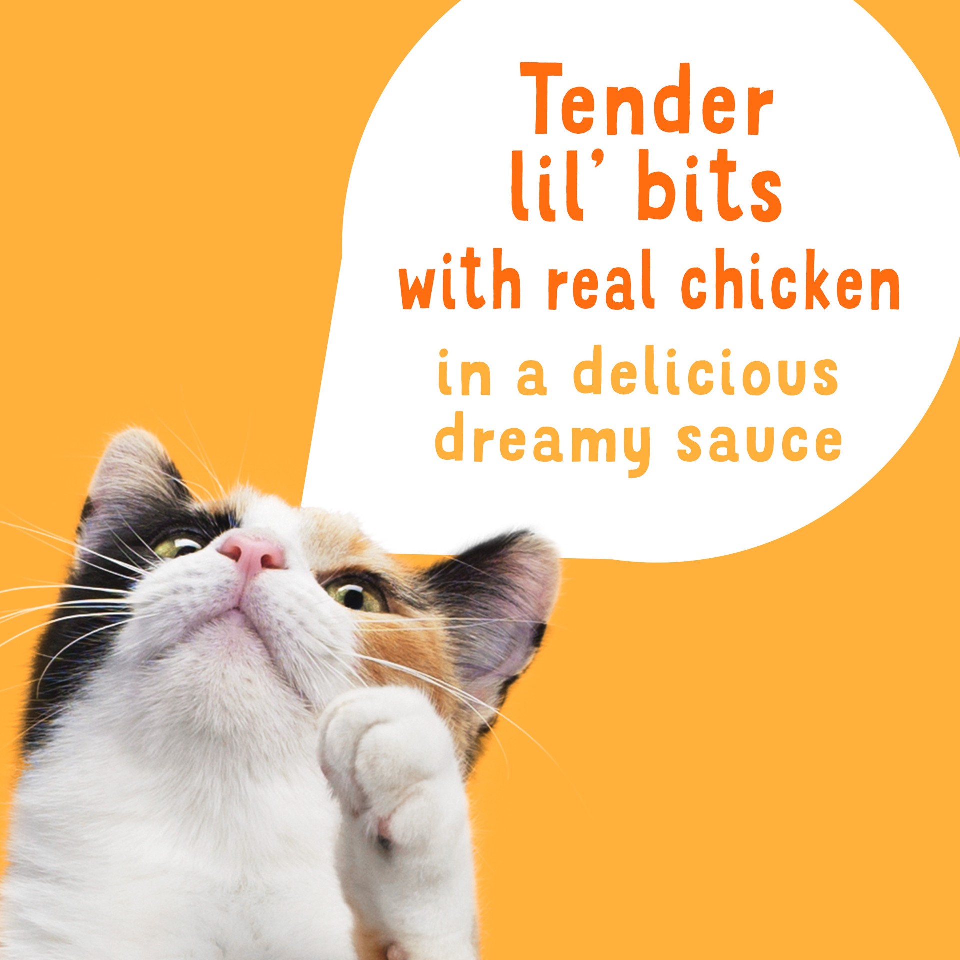 slide 7 of 7, Friskies Purina Friskies Wet Cat Food Lickable Cat Treats, Lil'' Slurprises With Shredded Chicken in a Dreamy Sauce, 1.2 oz