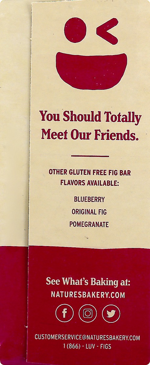 slide 12 of 13, Nature's Bakery Gluten Free 6 Twin Packs Raspberry Fig Bar 6 ea, 6 ct