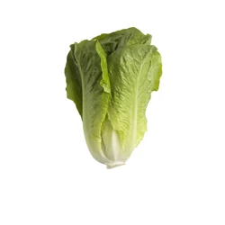 Baby Romaine Hearts - 3 pk