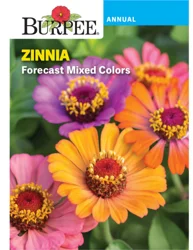 Burpee Zinnia Forecast Mixed Colors