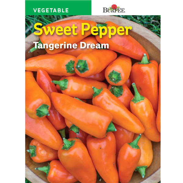 slide 1 of 1, Burpee Sweet Pepper Tangerine Dream Seeds, 1 ct