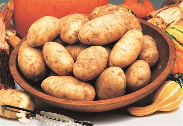 slide 1 of 1, Idaho Spuds Russet Potatoes, 1 ct