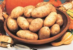 Idaho Spuds Russet Potatoes