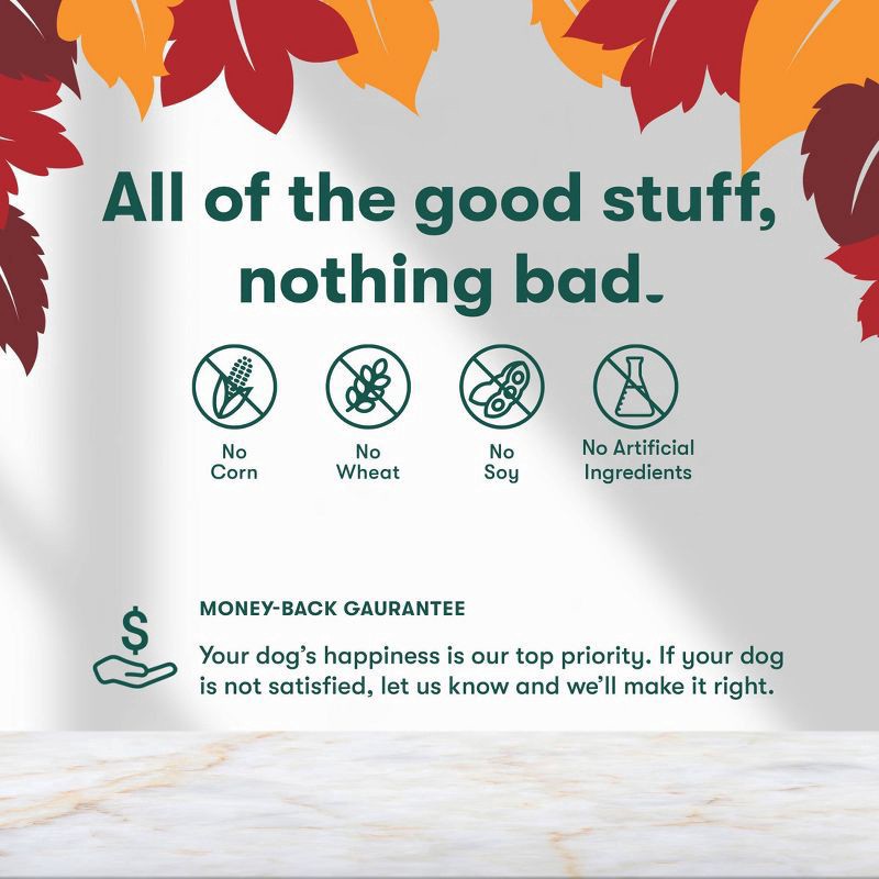 slide 2 of 6, Jinx Halloween Pumpkin & Apple Crunchy Dog Treat Biscuits - 16oz, 16 oz