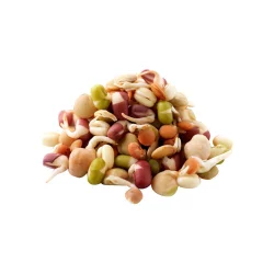 Sprouts