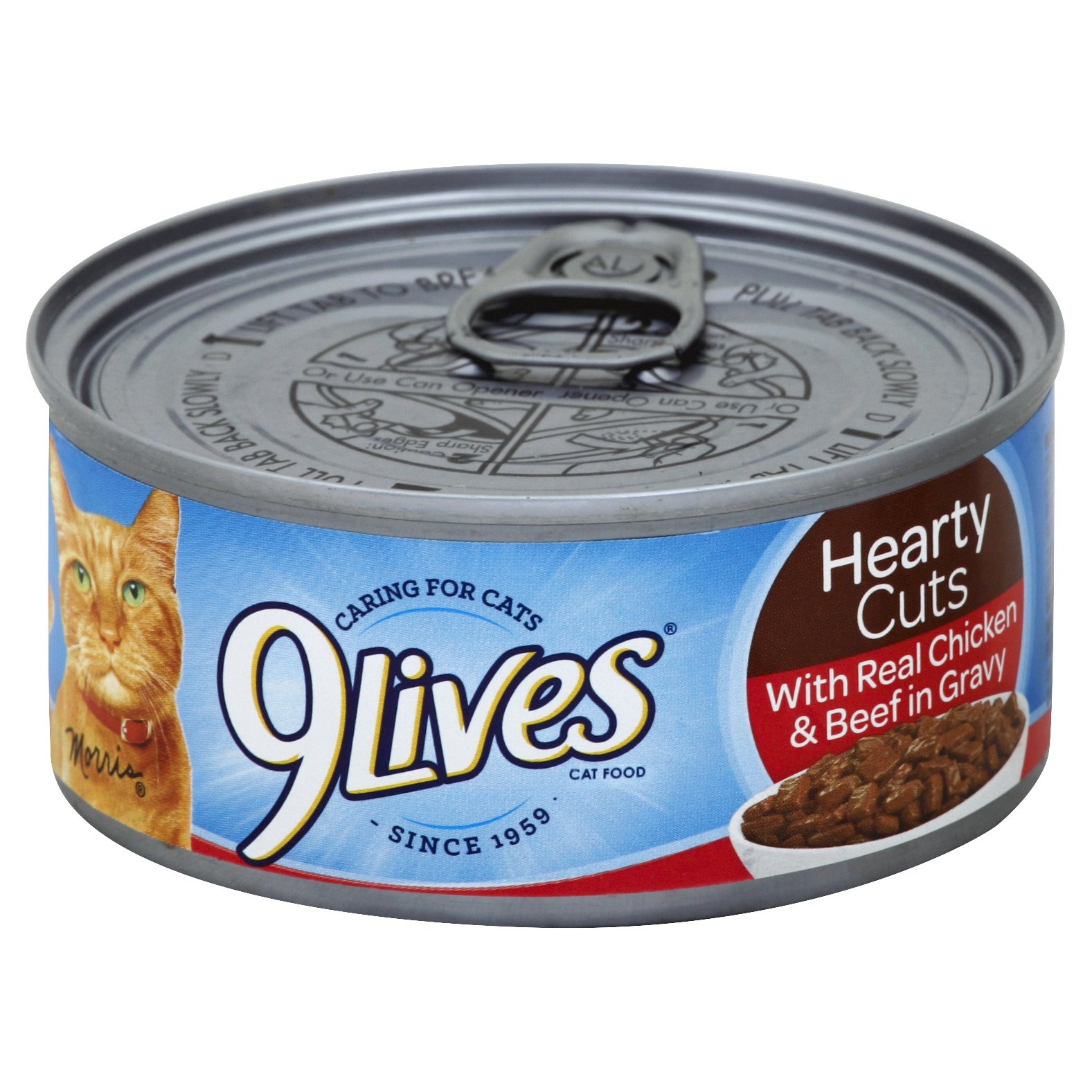 slide 1 of 1, 9Lives Tender Slices of Beef In Gravy Moist Cat Food, 5.5 oz