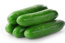 Small Cucumbers