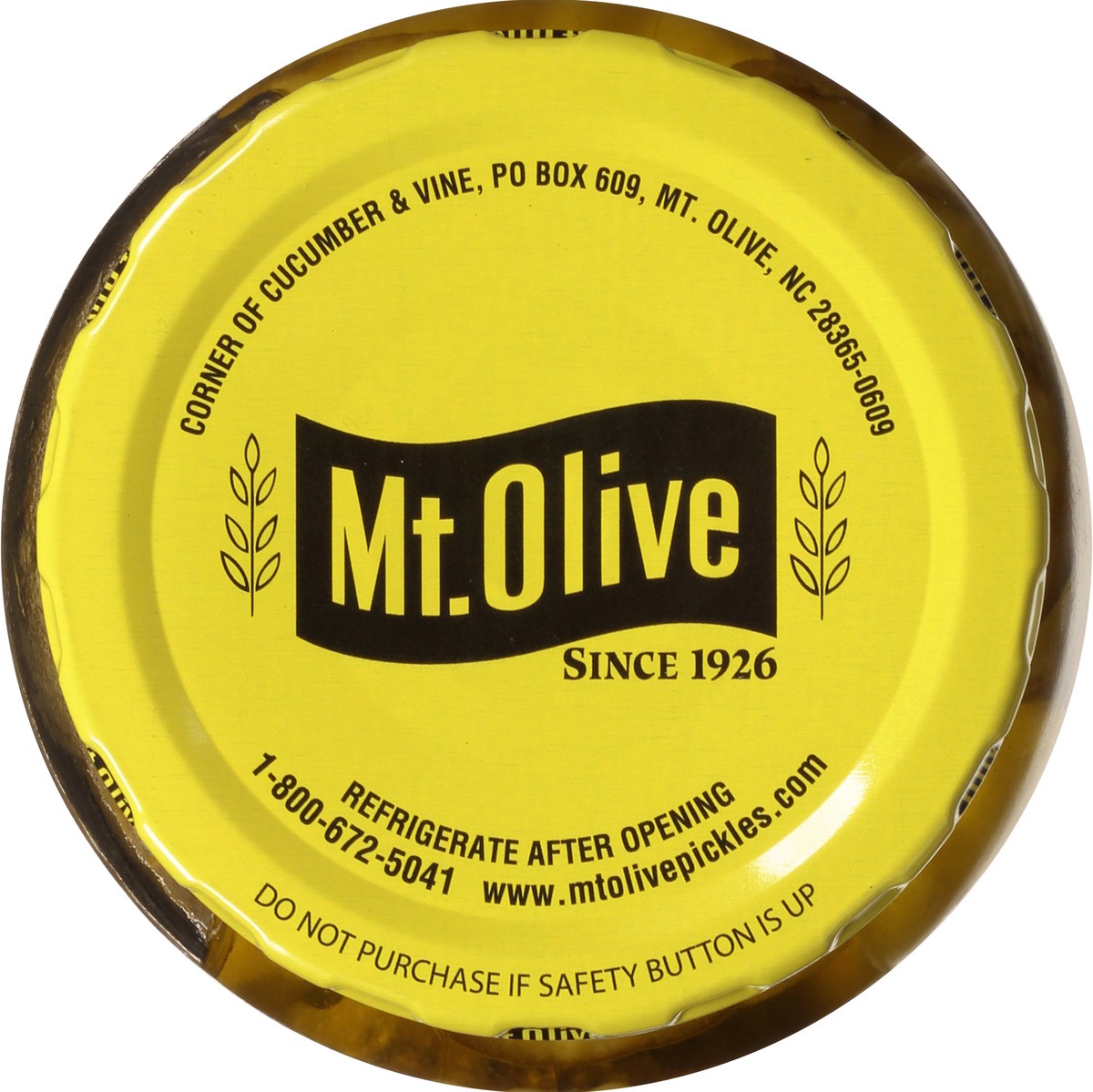 slide 5 of 7, Mt. Olive Kosher Hamburger Dill Chips Pickles - 16 fl oz, 16 fl oz
