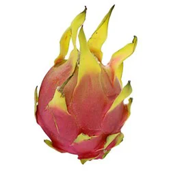 Syndigo Dragon Fruit 1 ea