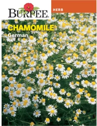Burpee German Chamomile Herb