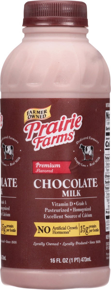 slide 2 of 13, Prairie Farms Chocolate Milk 16 fl oz, 16 fl oz