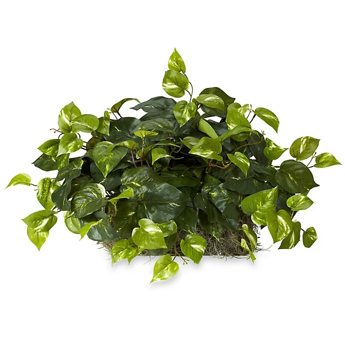 slide 1 of 1, Nearly Natural Pothos Silk Ledge Plant - Green, 15 in