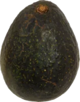 Hass Avocado
