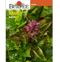 Burpee Basil Batik Herb