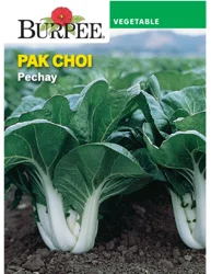 Burpee Pak Choi Pechay