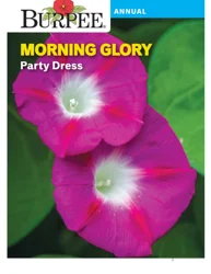 Burpee Morning Glory Party Dress