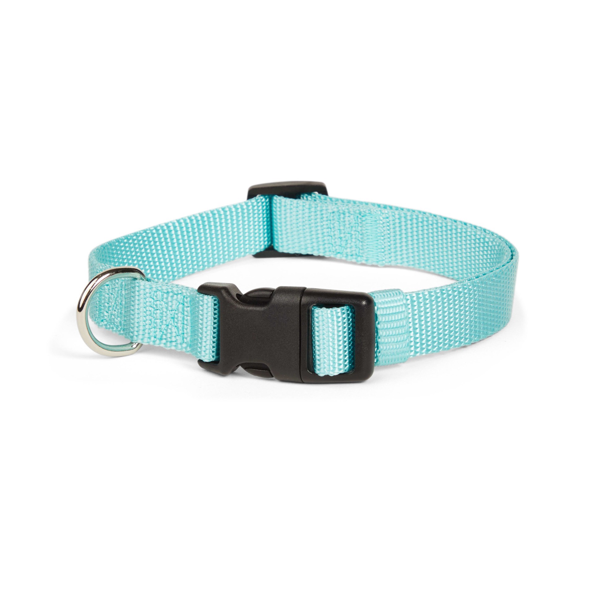 slide 1 of 1, YOULY Turquoise Adjustable Dog Collar, Medium, 1 ct