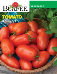 Burpee Heir Tomato Roma VF
