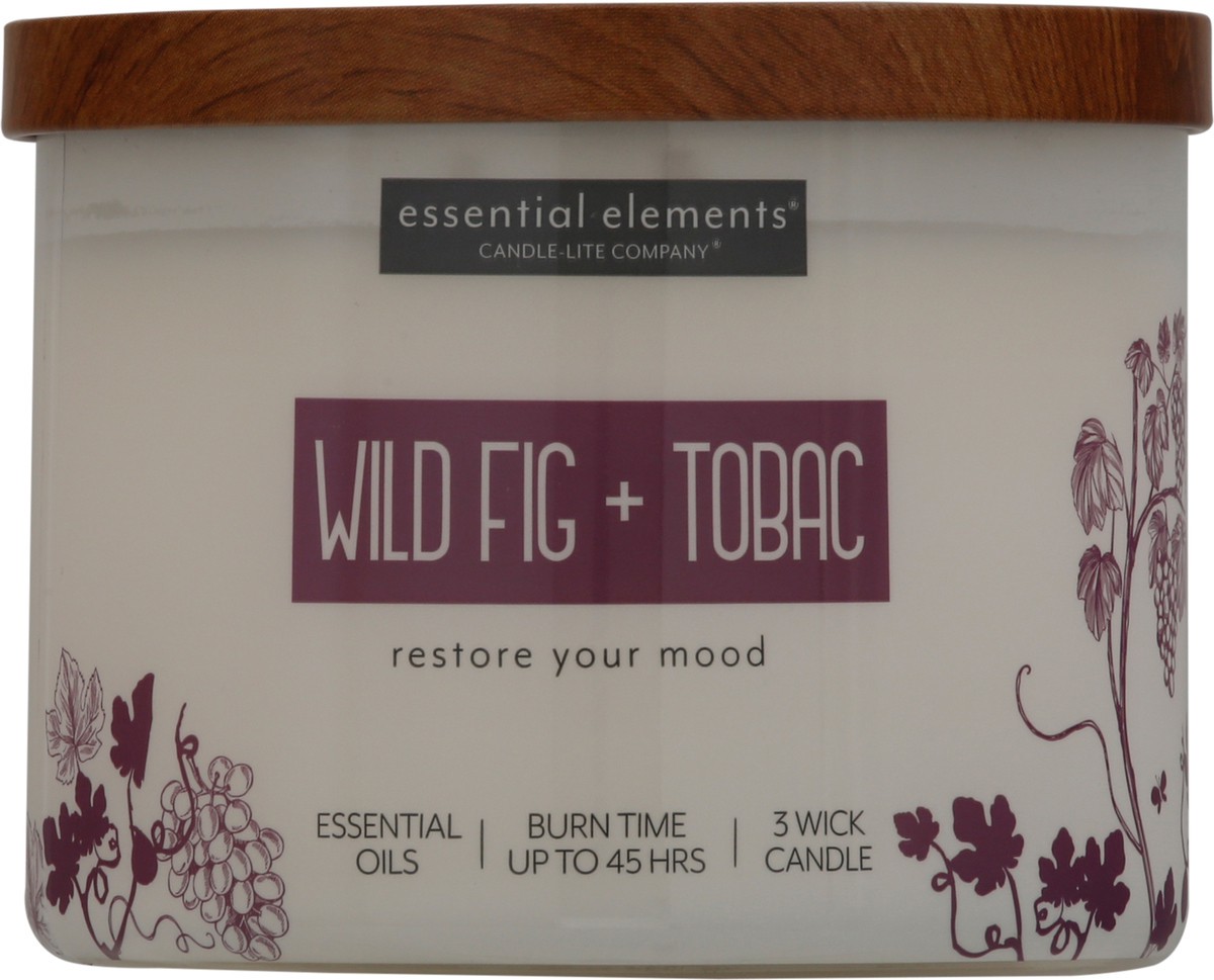 slide 7 of 10, Candle-Lite EE Wild Fig Tobac Jar Candle, 14.75 oz