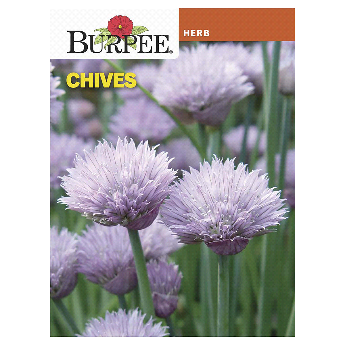 slide 1 of 1, Burpee Chives Common Seeds, 1 ct